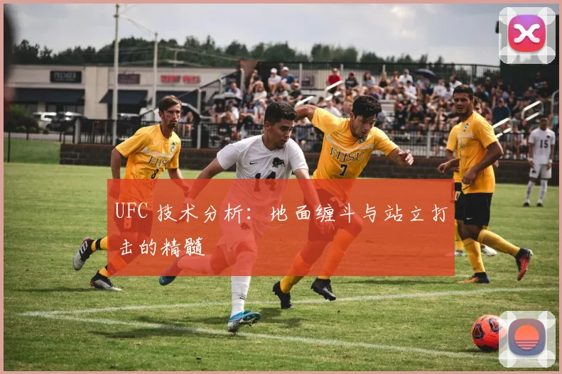 UFC 技术分析：地面缠斗与站立打击的精髓
