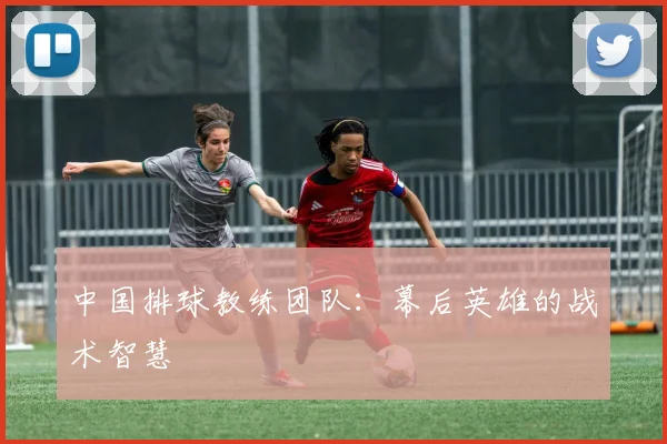 中国排球教练团队:幕后英雄的战术智慧