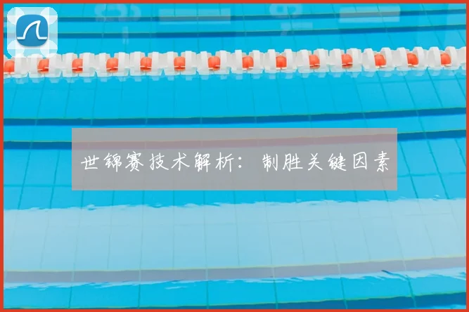 世锦赛技术解析：制胜关键因素