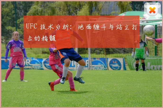 UFC 技术分析：地面缠斗与站立打击的精髓