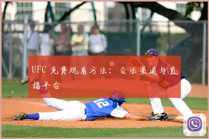 UFC 免费观看方法：合法渠道与直播平台